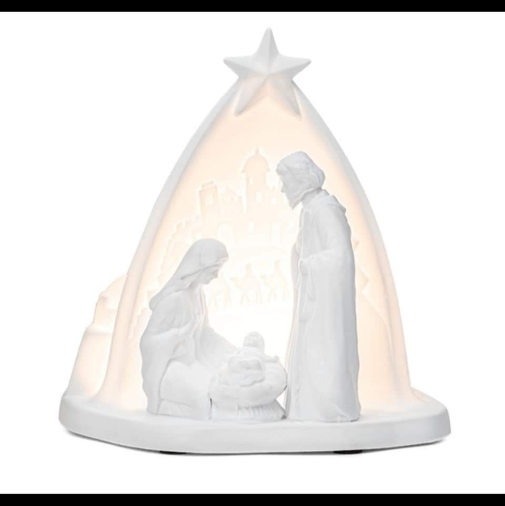 Night divine scentsy warmer NIB